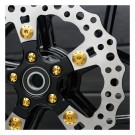 Arlen Ness Titanium Bremseskivebolter - Gold - Front - BT/XL thumbnail