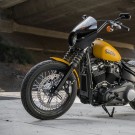 Arlen Ness Jagged Big Brake 15