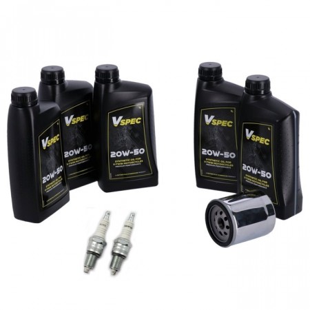 Softail Evolution - 1984-1999