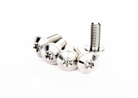 DTC Titanium Bremseskiveskruer - Polert - Bak - H-D 84-26